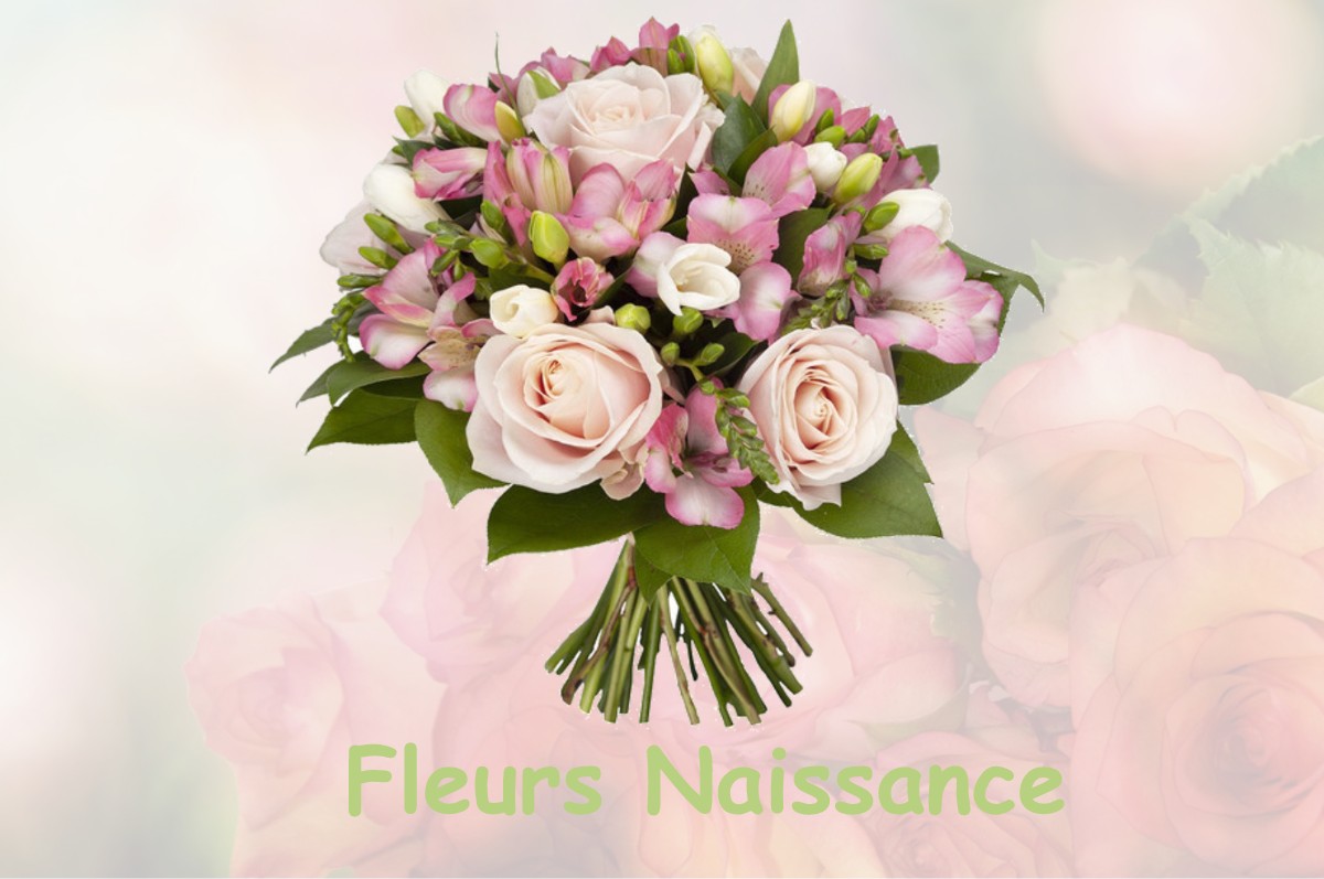 fleurs naissance BASSERCLES