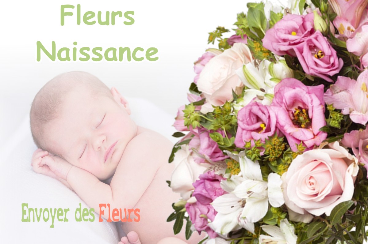 lIVRAISON FLEURS NAISSANCE à BASSERCLES